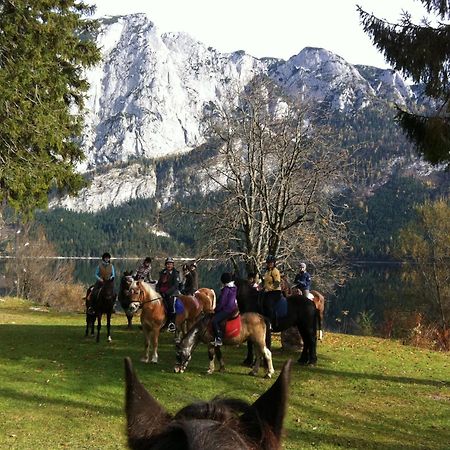 Reitbauernhof Schartner Hotel Altaussee Buitenkant foto