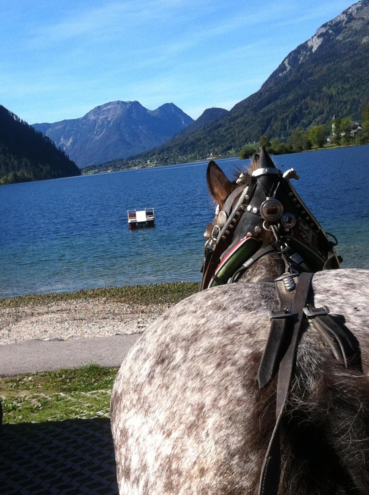 Reitbauernhof Schartner Hotel Altaussee Buitenkant foto
