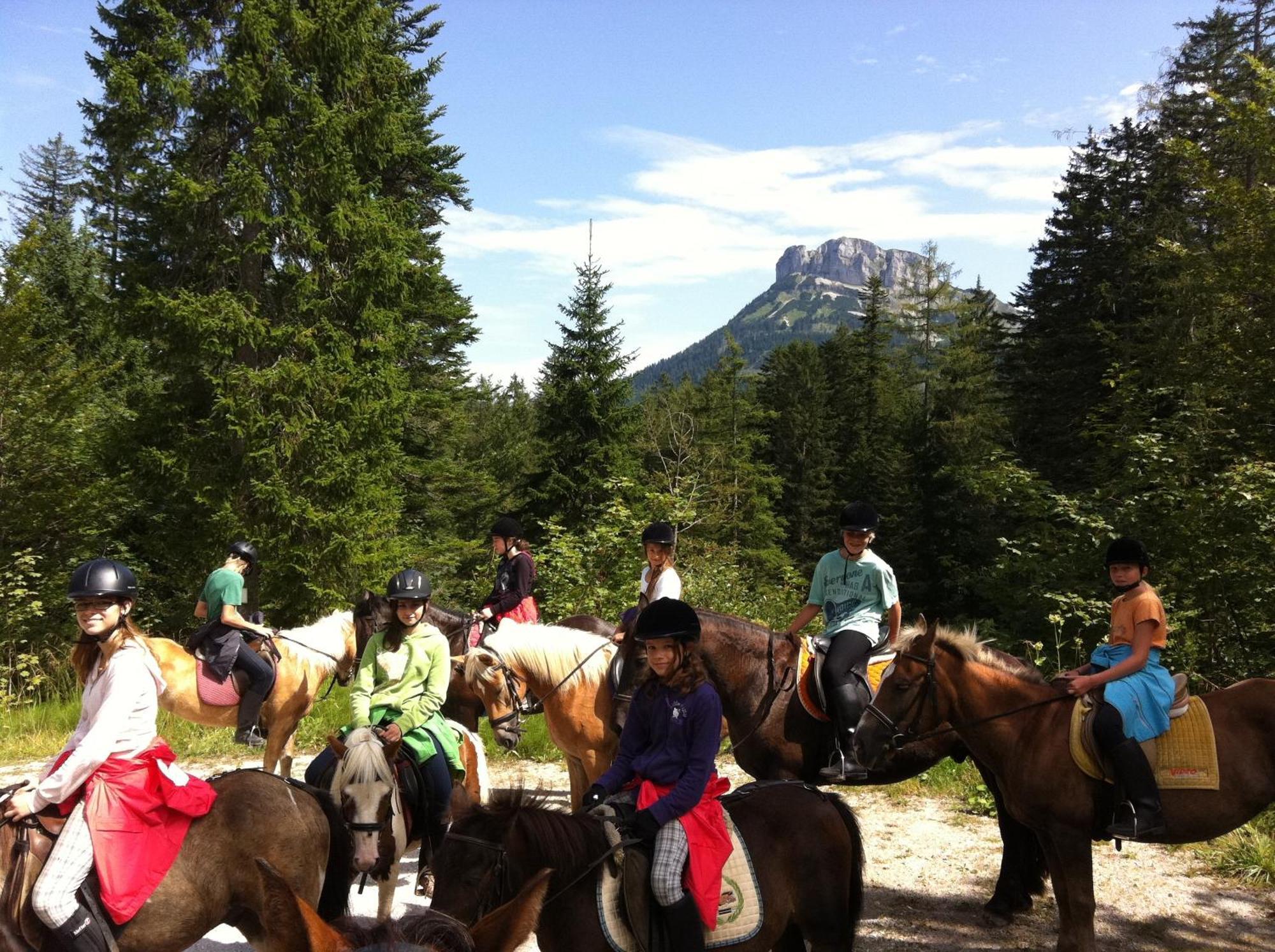 Reitbauernhof Schartner Hotel Altaussee Buitenkant foto